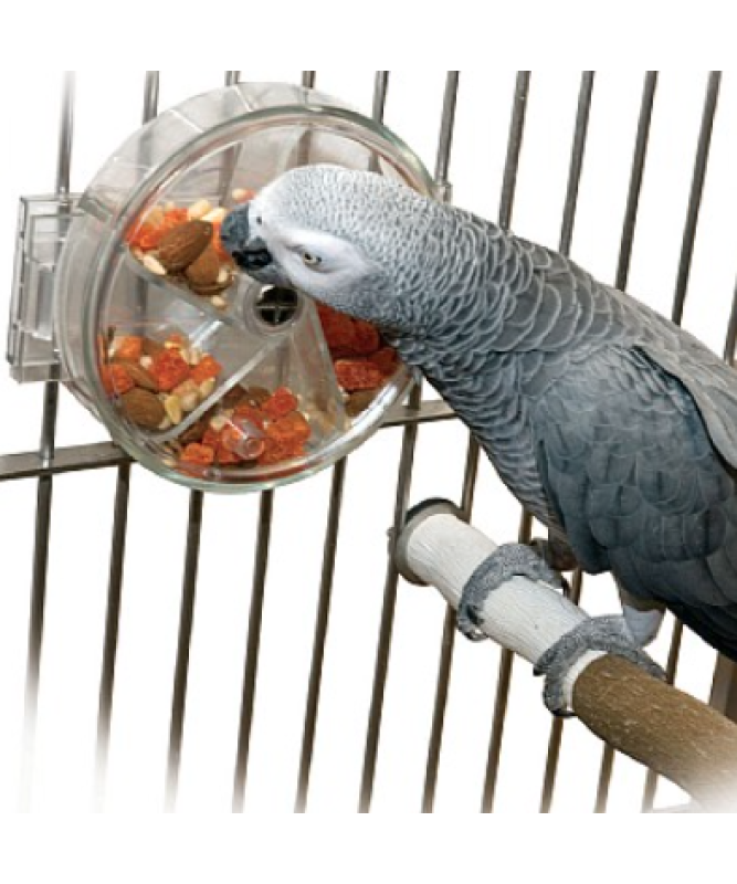 Interactive parrot toys best sale